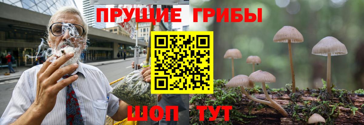 Когалым  Галлюциногенные грибы Cubensis  где найти   Вход с VPN 