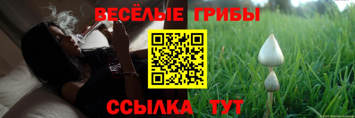 Галлюциногенные грибы GOLDEN TEACHER Когалым